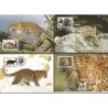 Korea Pn 1998, WWF: lampart amurski. Karty maksimum