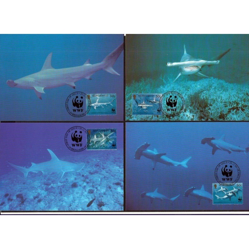 Montserrat 1999, WWF: ryby, rekin. Karty maksimum