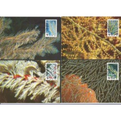 Nevis 1994, WWF: koralowce. Karty maksimum