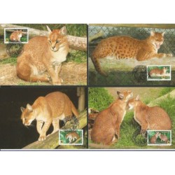 Senegal 1997, WWF: złotokot. Karty maksimum