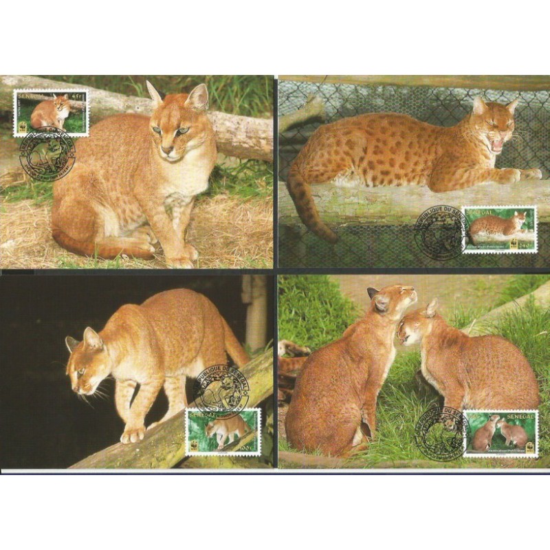 Senegal 1997, WWF: złotokot. Karty maksimum