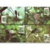Seszele 1996, WWF: ptaki. Karty maksimum