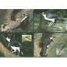 Sierra Leone 1994, WWF: ptaki. Karty maksimum