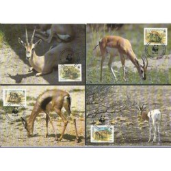 Somalia 1992, WWF: gazela. Karty maksimum