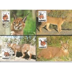 Somalia 1998, WWF: kot karakal. Karty maksimum