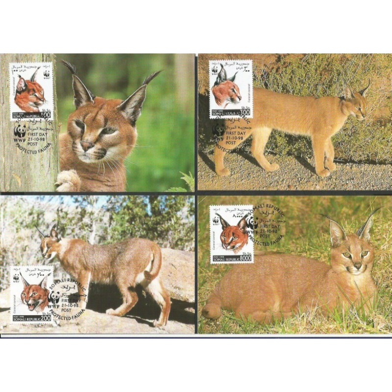 Somalia 1998, WWF: kot karakal. Karty maksimum