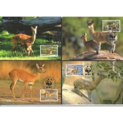 Suazi 2001, WWF: koziołek skalny. Karty maksimum