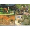 Suazi 2001, WWF: koziołek skalny. Karty maksimum