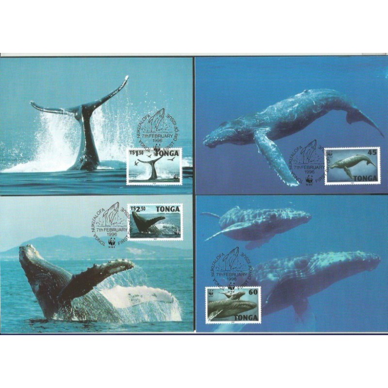 Tonga 1996, WWF Ssak długopłetwiec. Karty maksimum