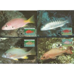 Turks i Caicos 1998, WWF: ryby. Karty maksimum