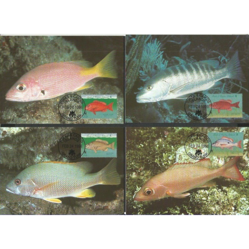 Turks i Caicos 1998, WWF: ryby. Karty maksimum