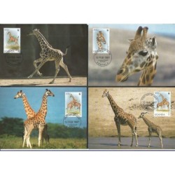 Uganda 1997, WWF: żyrafa. Karty maksimum