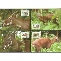 Wietnam 2000, WWF: anylopa. Karty maksimum