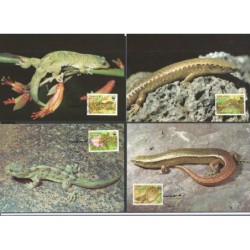 Wyspa Norflok 1996, WWF: gekko. Karty maksimum