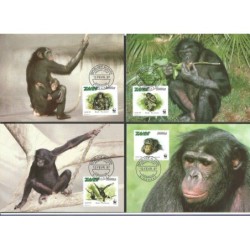Zair 1997, WWF: małpa. Karty maksimum