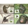 Zair 1997, WWF: małpa. Karty maksimum