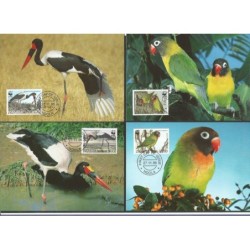 Zambia 1996, WWF: ptaki. Karty maksimum