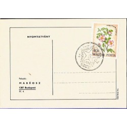 Węgry 1973, Esperanto. Datownik