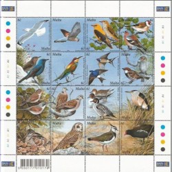 Malta 2001, Fauna: ptaki **