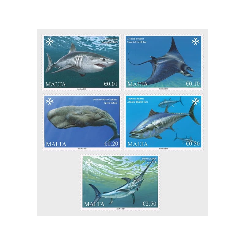 Malta 2023, Fauna morska, Morze Śródziemne **