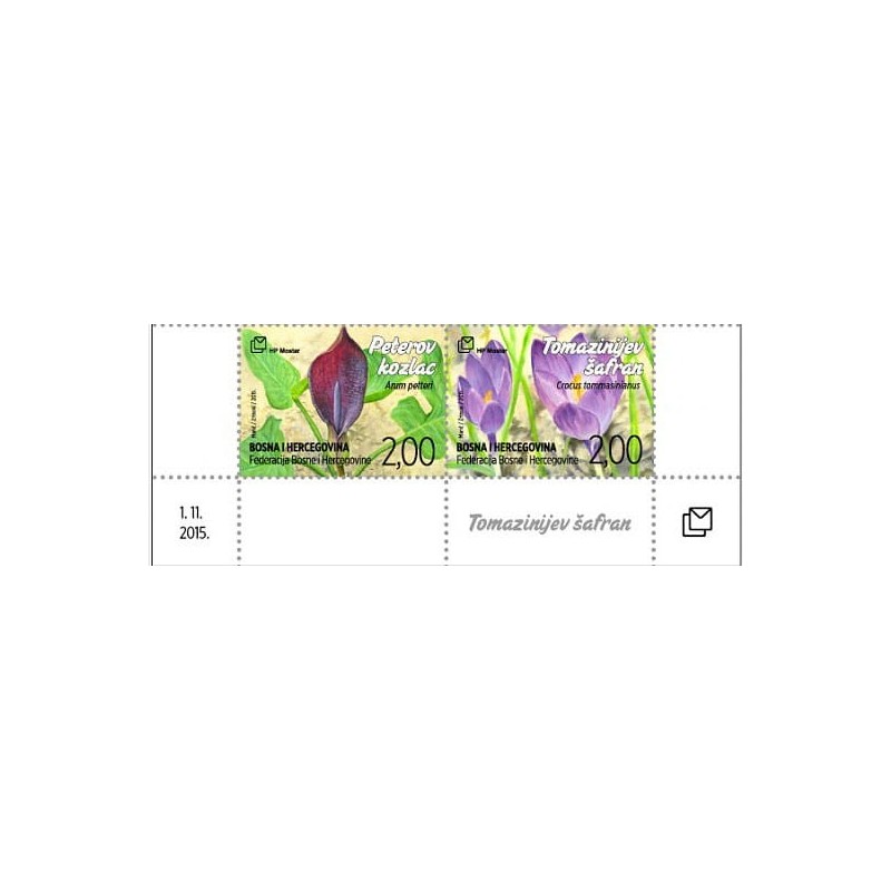 Bośnia 2015, Flora, kwiaty, szafran, arum. Margines **