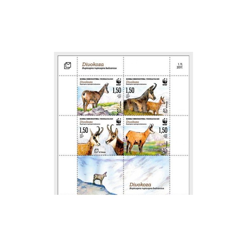 Bośnia 2017, Fauna, WWF: kozica górska **