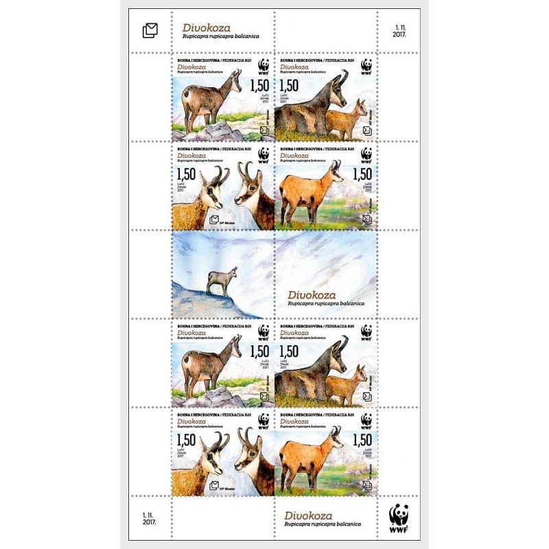 Bośnia 2017, Fauna, WWF: kozica górska, arkusik **