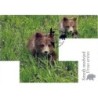 Chorwacja 2011, Zwierzęta: niedźwiedź. Karta maksimum