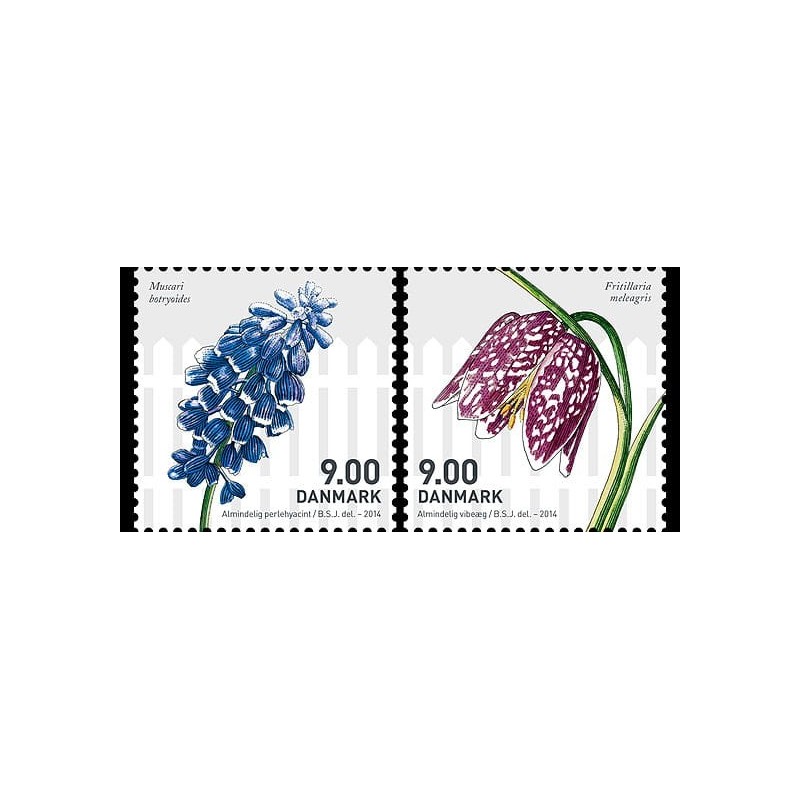 Dania 2014, Wiosenne kwiaty **