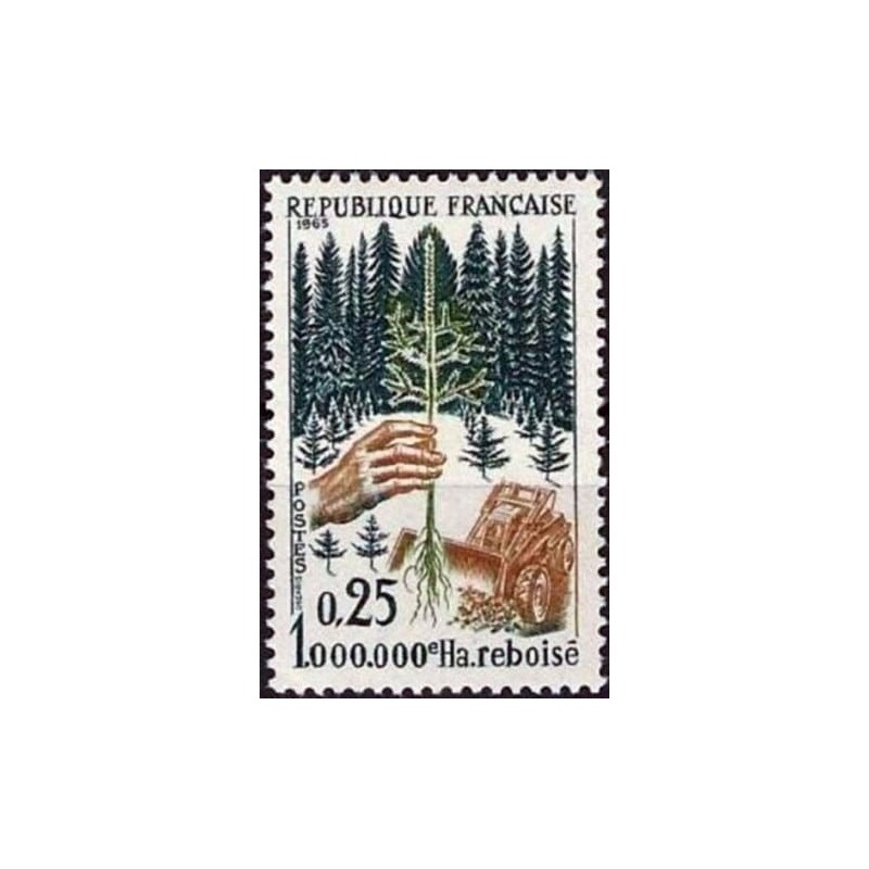 Francja 1965, Leśnictwo, drzewa, koparka **