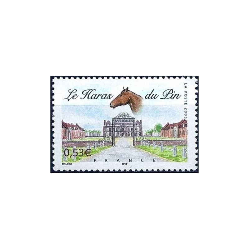 Francja 2005, Stadnina koni Haras du Pin, koń **