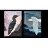Islandia 2009, Ptaki: nurzyk i mewa **