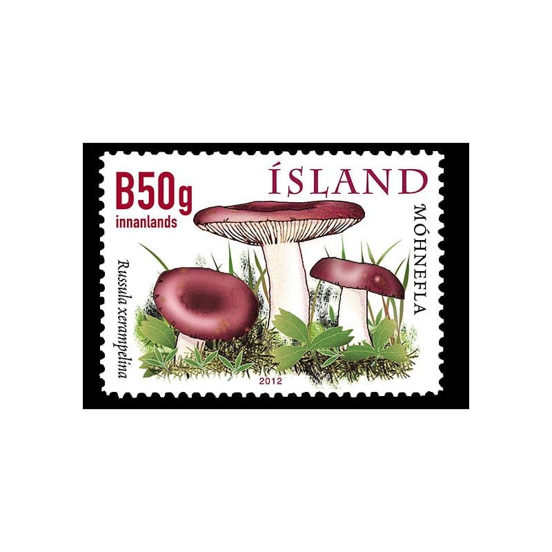 Islandia 2012, Grzyby **