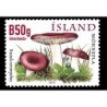 Islandia 2012, Grzyby **