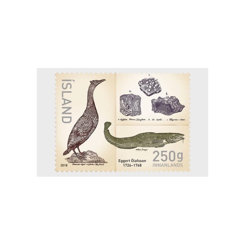 Islandia 2018, Ptak, ryba, minerały. E. Olafsson**
