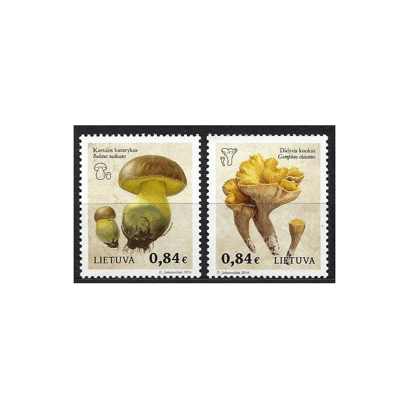 Litwa 2016, Grzyby **