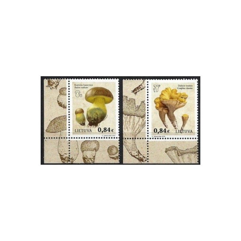 Litwa 2016, Grzyby, margines **