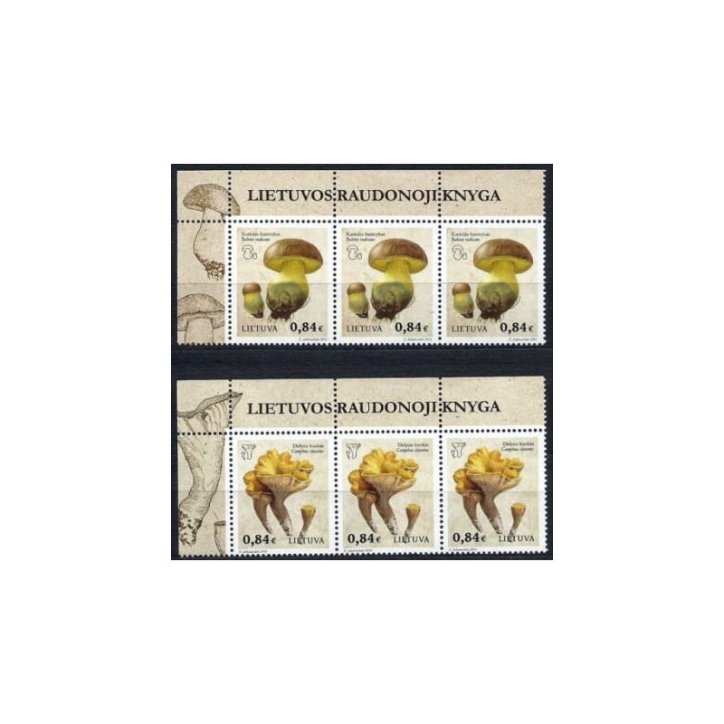 Litwa 2016, Grzyby, tytuł **
