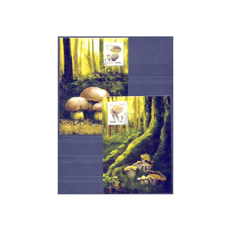 Litwa 2016, Grzyby. Karty maksimum