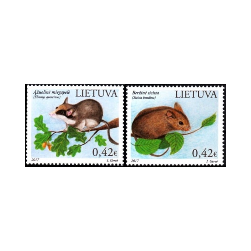 Litwa 2017, Fauna, ssaki: smużka leśna, żołędnica **