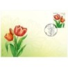 Łotwa 2014, Kwiaty, tulipan. FDC