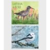 Łotwa 2018, Ptaki: krwawodziób i raniuszek **