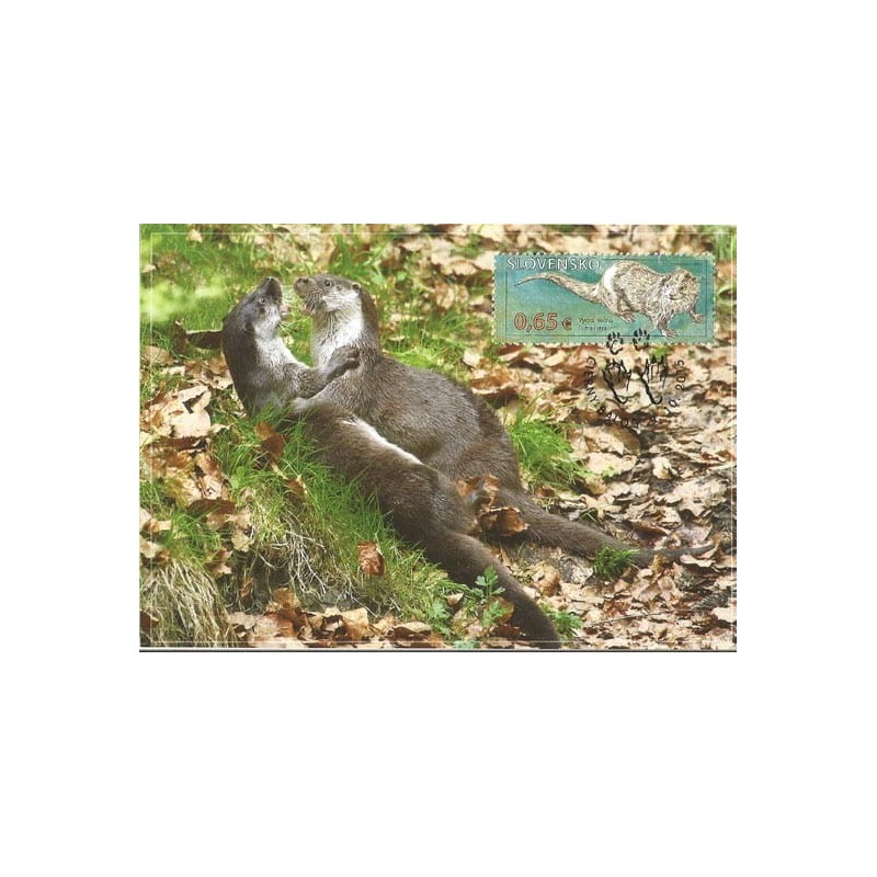 Słowacja 2015, Przyroda: wydra. Karta maksimum