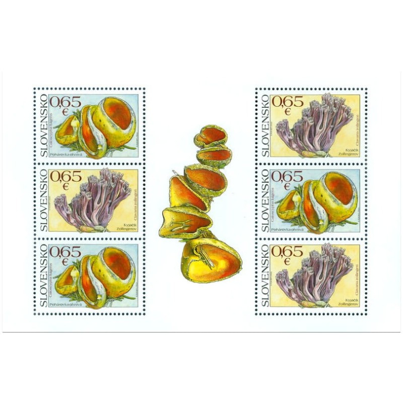 Słowacja 2017, Grzyby. Arkusik **