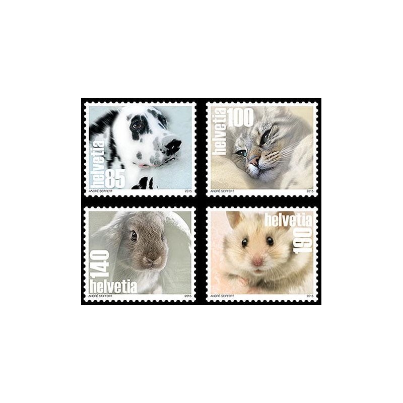 Szwajcaria 2015, Zwierzęta. Kot pies królik chomik **