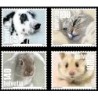 Szwajcaria 2015, Zwierzęta. Kot pies królik chomik **
