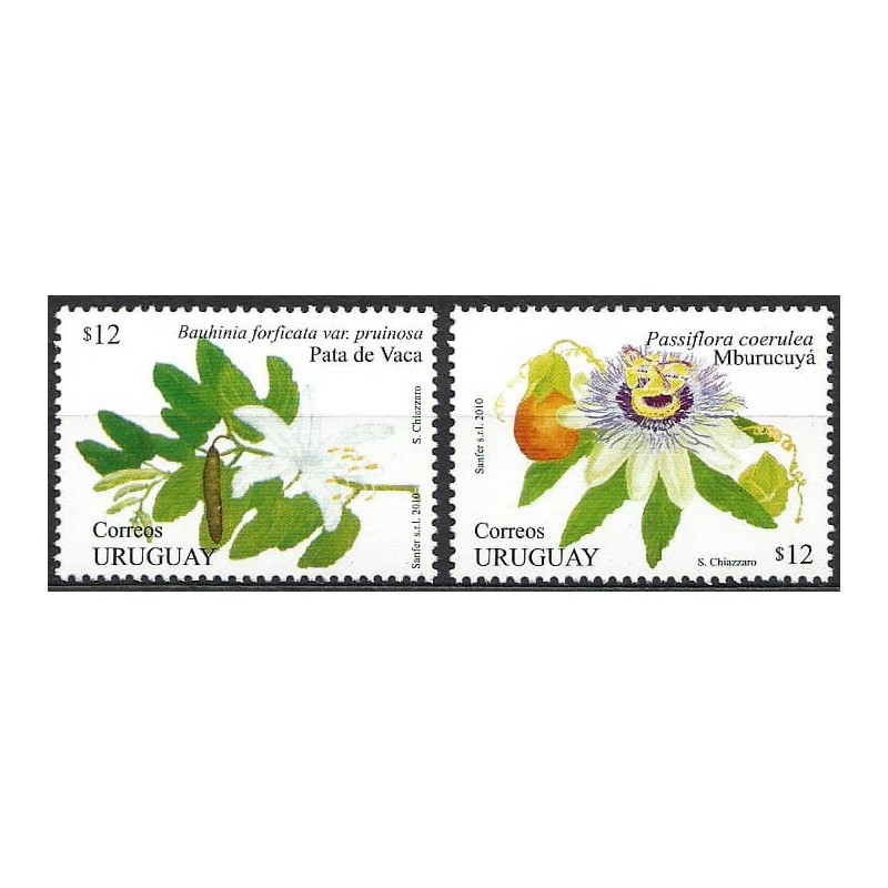 Urugwaj 2010, Kwiaty: męczennica i bauhinia **