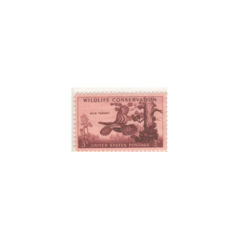 USA 1956, Ptak: dziki indyk **