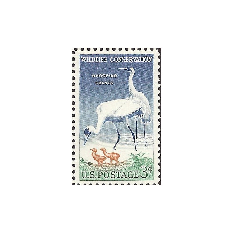 USA 1957, Ochrona przyrody, ptaki: żuraw **