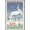USA 1957, Ochrona przyrody, ptaki: żuraw **